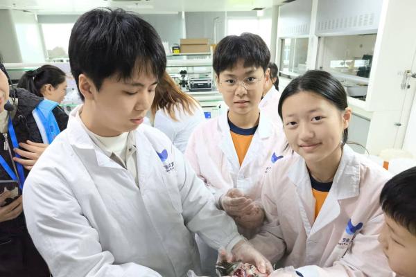 同學和大學生一起進行解剖實驗，了解魚類身體構造。