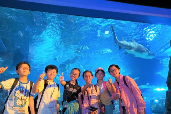 曼谷海洋世界有各式各樣的海洋生物。